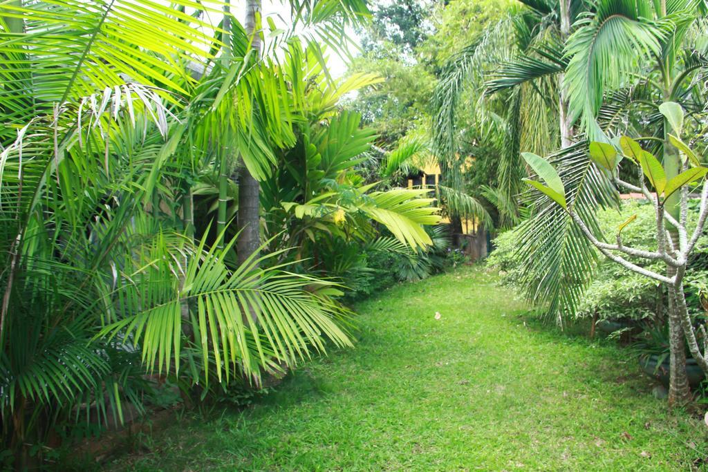 Traditional Kandyan House Exterior photo